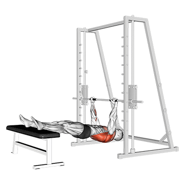 Inverted Row on Bench - Exclusive get you ultimate Strength for Latissimus Dorsi from X health blend   Animated Exercise  Library