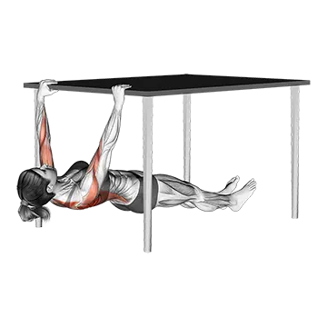 Inverted Row Under Table - Exclusive get you ultimate Strength for Latissimus Dorsi from X health blend   Animated Exercise  Library