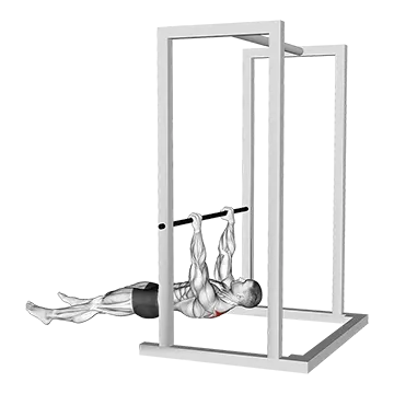 Inverted Shrug - Exclusive get you ultimate Strength for Traps from X health blend   Animated Exercise  Library