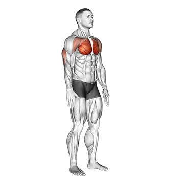 Isometric Chest Squeeze