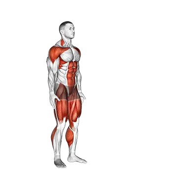 Jack Jump - Exclusive get you ultimate Cardio for Quadriceps