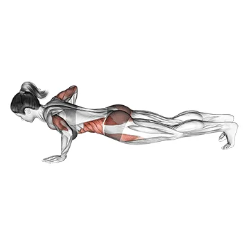Jack Plank - Exclusive get you ultimate Strength for Abdominals from X health blend   Animated Exercise  Library