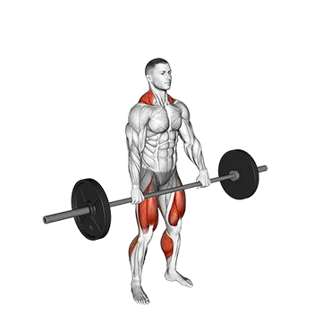 Jump Shrug - Exclusive get you ultimate Strength for Traps