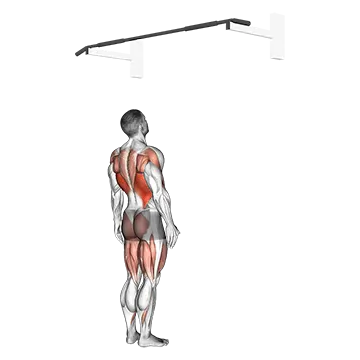 Jumping Pull Up - Exclusive get you ultimate Strength for Latissimus Dorsi