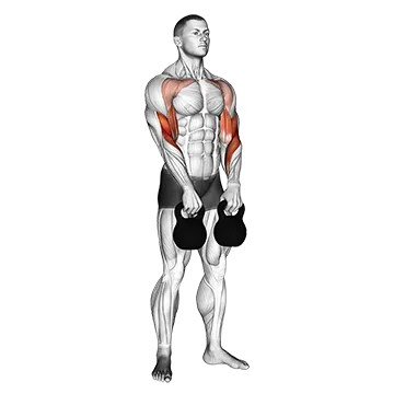 Kettlebell Alternating Hang Clean - Exclusive get you ultimate Strength for Deltoids