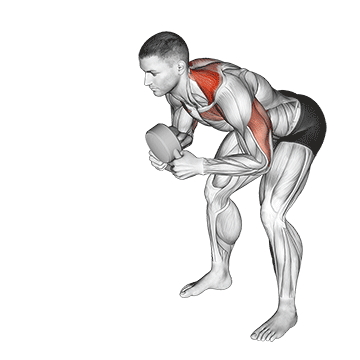 Kettlebell Angled Press - Exclusive get you ultimate Strength for Deltoids from X health blend   Animated Exercise  Library