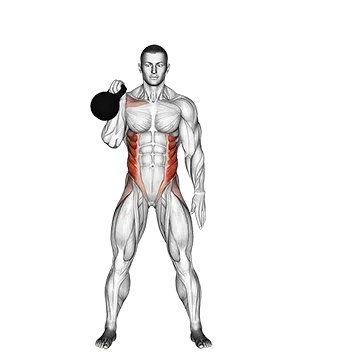 Kettlebell Bent Press - Exclusive get you ultimate Strength for Obliques from X health blend   Animated Exercise  Library