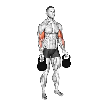 Kettlebell Biceps Curl - Exclusive get you ultimate Strength for Biceps from X health blend   Animated Exercise  Library