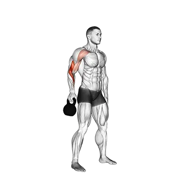 Kettlebell Bottoms Up Clean from the Hang Position - Exclusive get you ultimate Strength for Deltoids