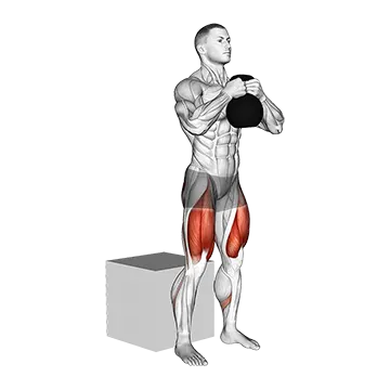 Kettlebell Box Squat - Exclusive get you ultimate Strength for Quadriceps