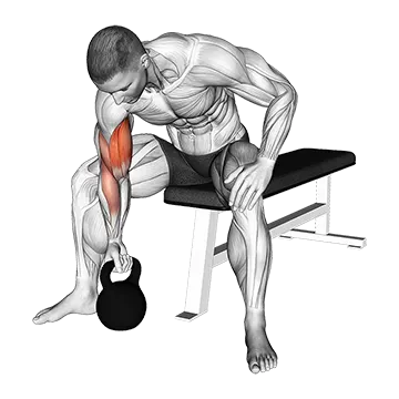 Kettlebell Concentration Curl - Exclusive get you ultimate Strength for Biceps from X health blend   Animated Exercise  Library