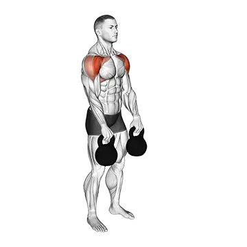 Kettlebell Front Raise - Exclusive get you ultimate Strength for Deltoids from X health blend   Animated Exercise  Library