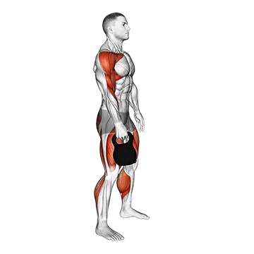 Kettlebell Hang Clean - Exclusive get you ultimate Strength for Deltoids