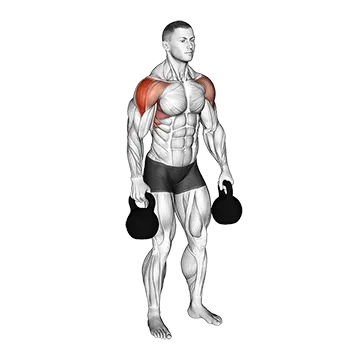 Kettlebell Lateral Raise - Exclusive get you ultimate Strength for Deltoids from X health blend   Animated Exercise  Library