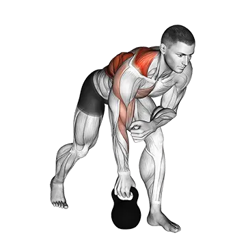 Kettlebell One Arm Row - Exclusive get you ultimate Strength for Lats