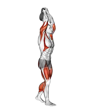 Kettlebell Overhead Carry - Exclusive get you ultimate Strength for Shoulders from X health blend   Animated Exercise  Library