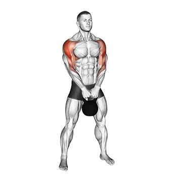 Kettlebell Upright Row - Exclusive get you ultimate Strength for Deltoids from X health blend   Animated Exercise  Library