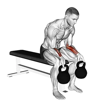 Kettlebell Wrist Curl - Exclusive get you ultimate Strength for Forearms from X health blend   Animated Exercise  Library