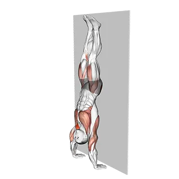 Kipping Handstand Push Up