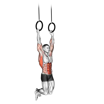 Kipping Muscle Up - Exclusive get you ultimate Strength for Back