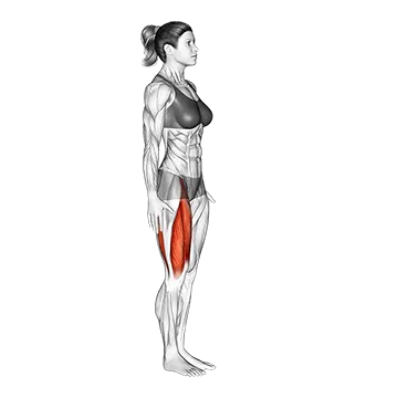 Knee Raise