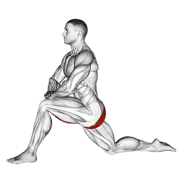 Kneeling Hip Flexor Stretch - Exclusive get you ultimate Stretching