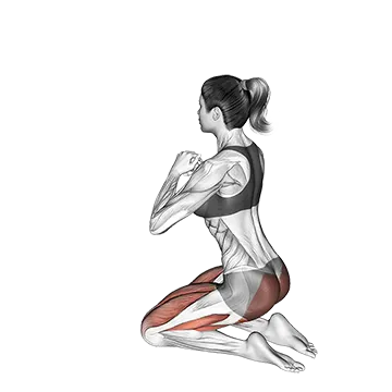 Kneeling Hip Thrust