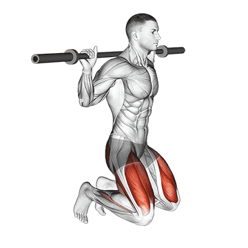 Kneeling Jump Squat - Exclusive get you ultimate Strength for Quadriceps from X health blend   Animated Exercise  Library
