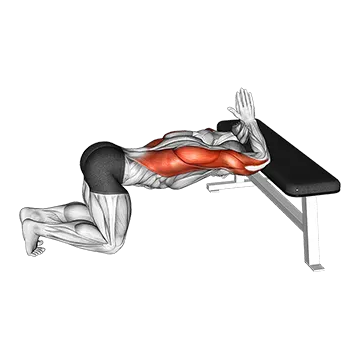 Kneeling Lat Stretch on Bench - Exclusive get you ultimate Stretching