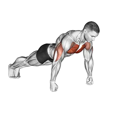Knuckle Push-Up