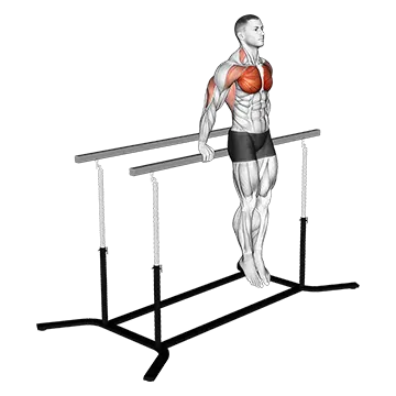 Korean Dips - Exclusive get you ultimate Strength for Triceps from X health blend   Animated Exercise  Library