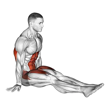 L Sit on Floor - Exclusive get you ultimate Strength for Rectus Abdominis from X health blend   Animated Exercise  Library