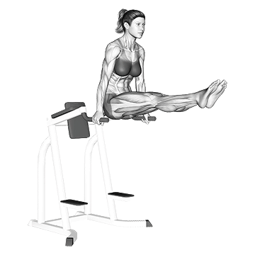 L Sit - Exclusive get you ultimate Strength for Rectus Abdominis from X health blend   Animated Exercise  Library