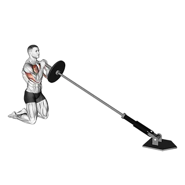 Landmine Kneeling Squeeze Press - Exclusive get you ultimate Strength for Pectoralis from X health blend   Animated Exercise  Library