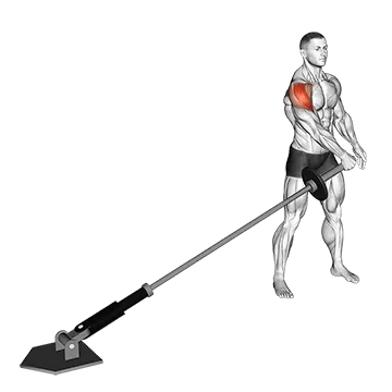 Landmine Lateral Raise - Exclusive get you ultimate Strength for Deltoids from X health blend   Animated Exercise  Library