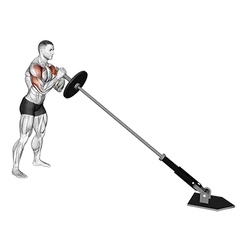 Landmine Press