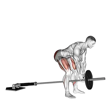 Landmine Romanian Deadlift