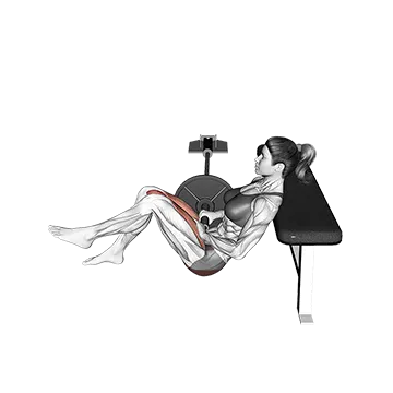 Landmine Single Leg Hip Thrust - Exclusive get you ultimate Strength for Gluteus Maximus from X health blend   Animated Exercise  Library