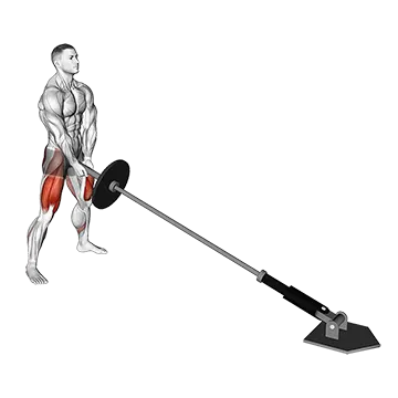 Landmine Sumo Squat