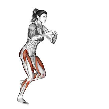 Lateral Speed Step - Exclusive get you ultimate Strength for Quadriceps from X health blend   Animated Exercise  Library