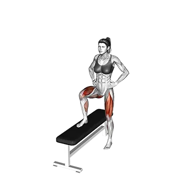 Lateral Step Up
