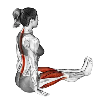Lean Forward Stretch