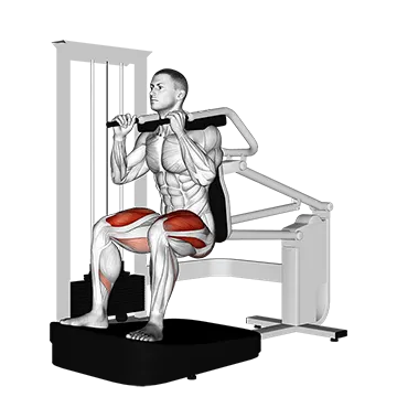 Lever Chair Squat - Exclusive get you ultimate Strength for Quadriceps from X health blend   Animated Exercise  Library