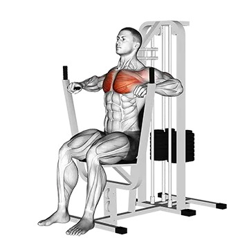 Lever Chest Press - Exclusive get you ultimate Strength for Pectoralis from X health blend   Animated Exercise  Library