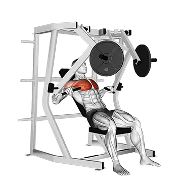 Lever Decline Chest Press - Exclusive get you ultimate Strength for Pectoralis from X health blend   Animated Exercise  Library