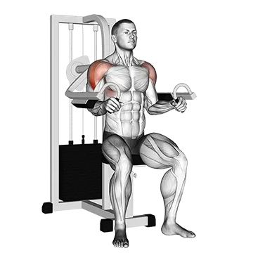 Lever Lateral Raise - Exclusive get you ultimate Strength for Deltoids from X health blend   Animated Exercise  Library