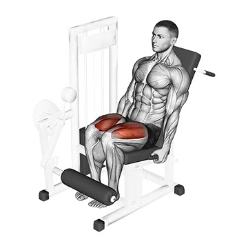 Lever Leg Extension - Exclusive get you ultimate Strength for Quadriceps from X health blend   Animated Exercise  Library