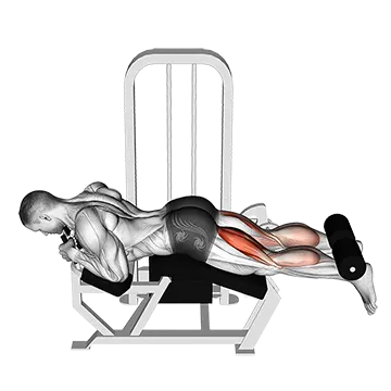 Lever Lying Leg Curl