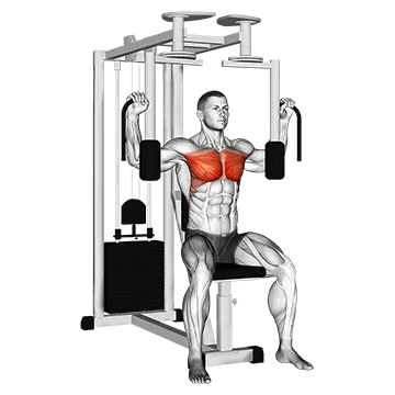Lever Pec Deck Fly - Exclusive get you ultimate Strength for Pectoralis from X health blend   Animated Exercise  Library