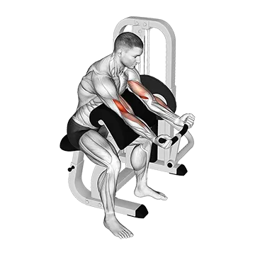 Lever Preacher Curl - Exclusive get you ultimate Strength for Biceps from X health blend   Animated Exercise  Library